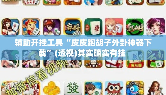 辅助开挂工具“皮皮跑胡子外卦神器下载”(透视)其实确实有挂 