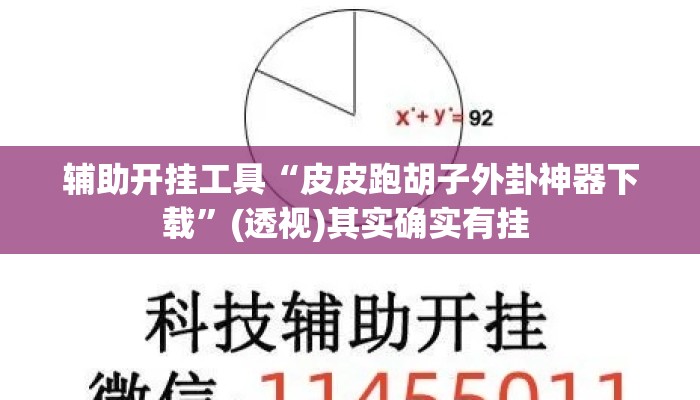 辅助开挂工具“皮皮跑胡子外卦神器下载”(透视)其实确实有挂 