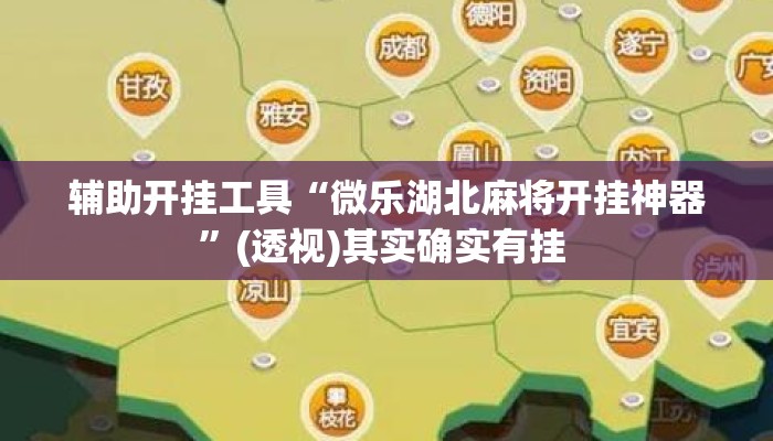 辅助开挂工具“微乐湖北麻将开挂神器”(透视)其实确实有挂 