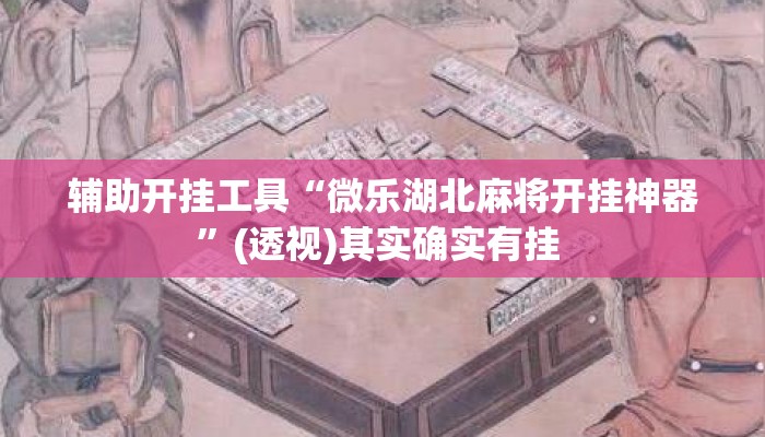 辅助开挂工具“微乐湖北麻将开挂神器”(透视)其实确实有挂 