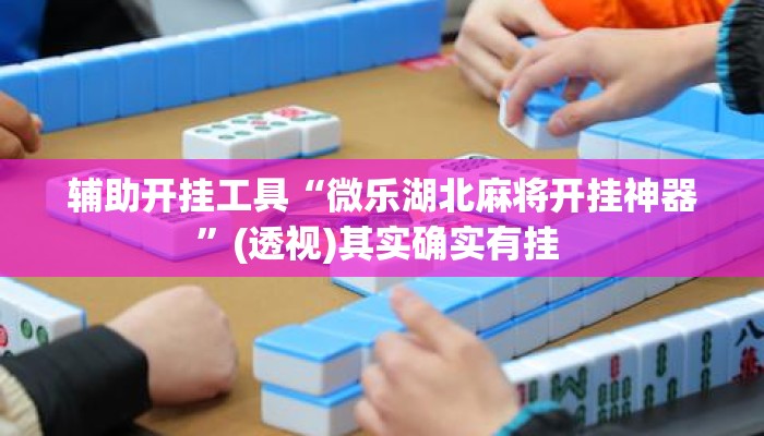 辅助开挂工具“微乐湖北麻将开挂神器	”(透视)其实确实有挂 