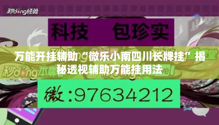 万能开挂辅助“微乐小南四川长牌挂	”揭秘透视辅助万能挂用法