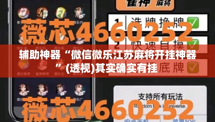 辅助神器“微信微乐江苏麻将开挂神器	”(透视)其实确实有挂 