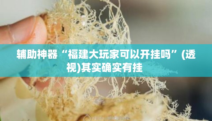 辅助神器“福建大玩家可以开挂吗	”(透视)其实确实有挂 