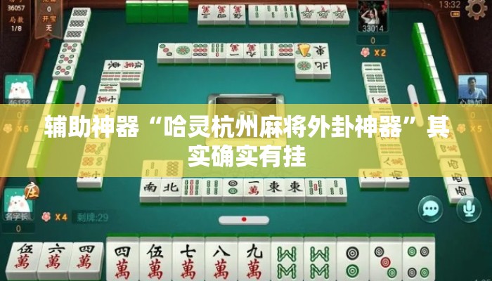辅助神器“哈灵杭州麻将外卦神器	”其实确实有挂