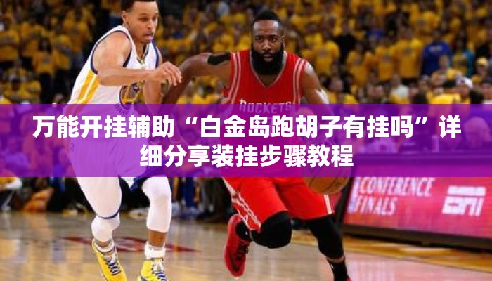 万能开挂辅助“白金岛跑胡子有挂吗”详细分享装挂步骤教程