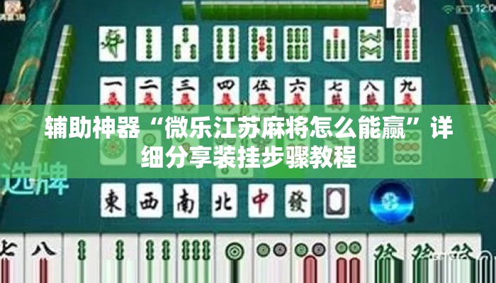 辅助神器“微乐江苏麻将怎么能赢”详细分享装挂步骤教程