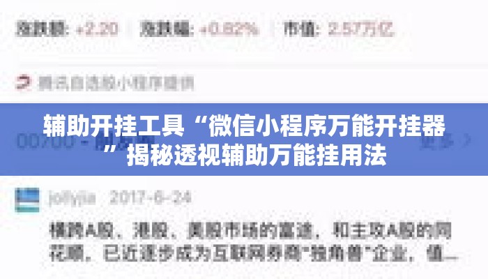 辅助开挂工具“微信小程序万能开挂器”揭秘透视辅助万能挂用法