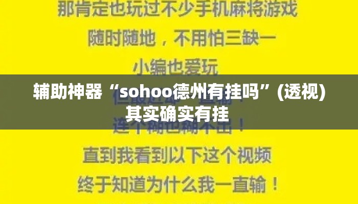 辅助神器“sohoo德州有挂吗”(透视)其实确实有挂 