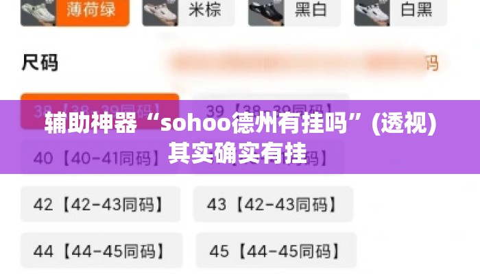 辅助神器“sohoo德州有挂吗”(透视)其实确实有挂 