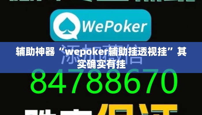 辅助神器“wepoker辅助挂透视挂	”其实确实有挂