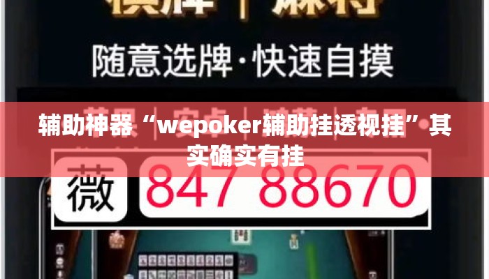 辅助神器“wepoker辅助挂透视挂	”其实确实有挂