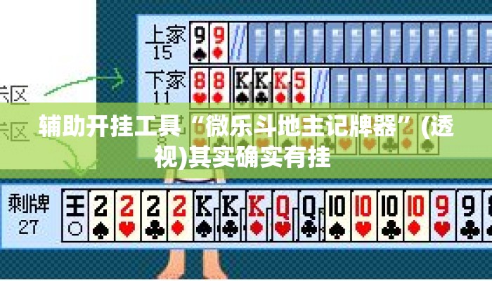 辅助开挂工具“微乐斗地主记牌器	”(透视)其实确实有挂 