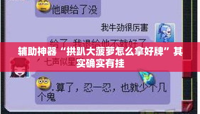 辅助神器“拱趴大菠萝怎么拿好牌”其实确实有挂