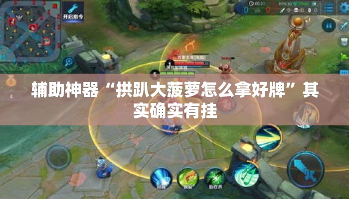辅助神器“拱趴大菠萝怎么拿好牌”其实确实有挂