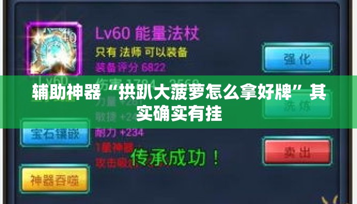 辅助神器“拱趴大菠萝怎么拿好牌”其实确实有挂