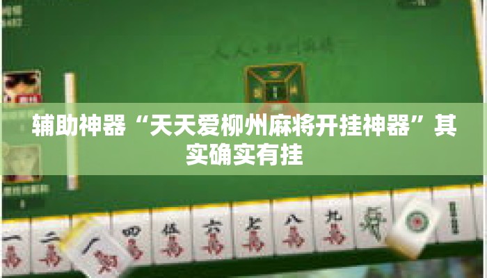 辅助神器“天天爱柳州麻将开挂神器	”其实确实有挂