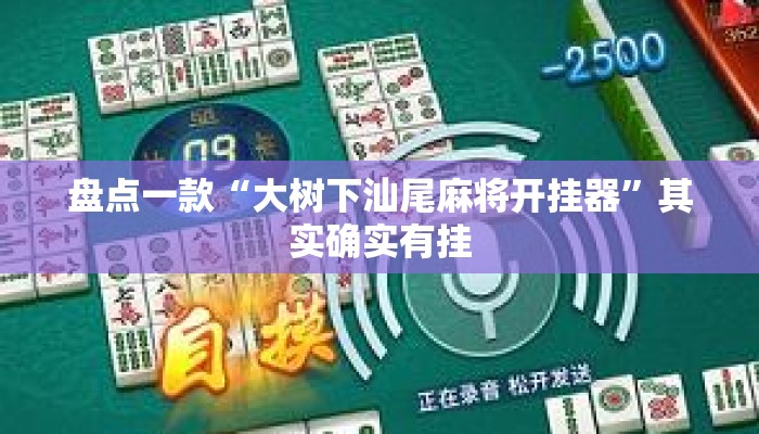盘点一款“大树下汕尾麻将开挂器”其实确实有挂