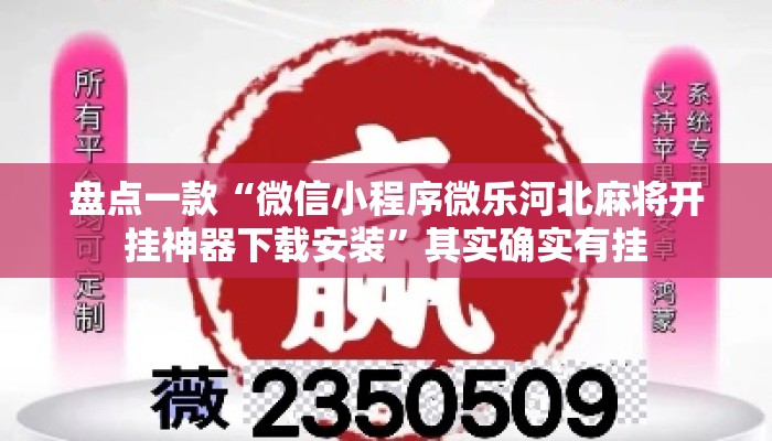 盘点一款“微信小程序微乐河北麻将开挂神器下载安装”其实确实有挂