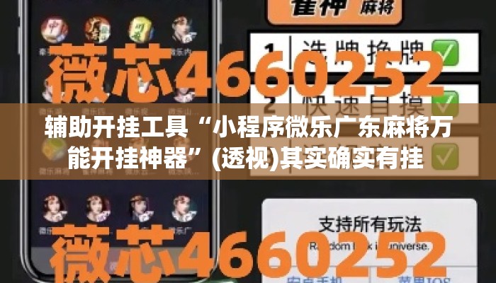辅助开挂工具“小程序微乐广东麻将万能开挂神器”(透视)其实确实有挂 