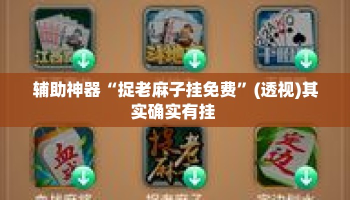 辅助神器“捉老麻子挂免费”(透视)其实确实有挂 