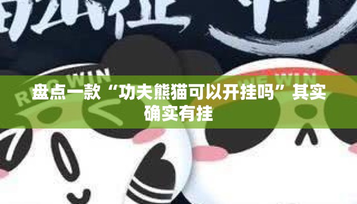 盘点一款“功夫熊猫可以开挂吗”其实确实有挂