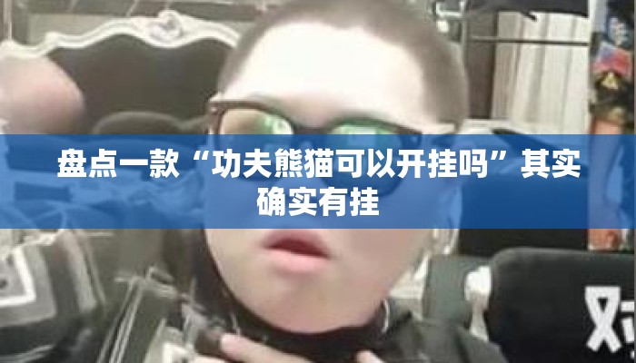 盘点一款“功夫熊猫可以开挂吗	”其实确实有挂