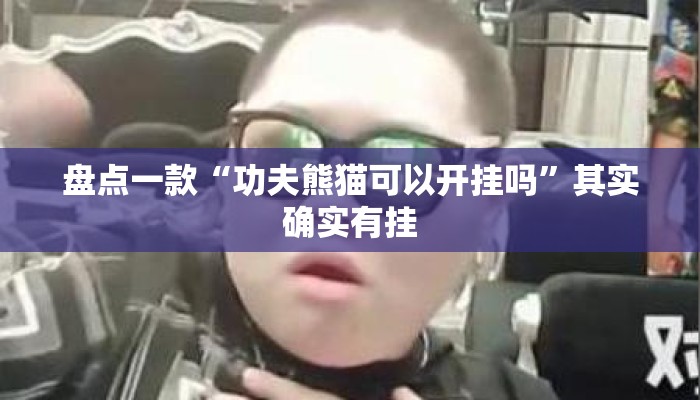 盘点一款“功夫熊猫可以开挂吗	”其实确实有挂