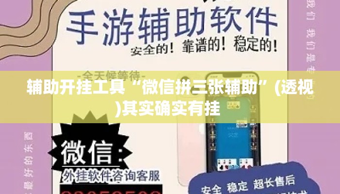 辅助开挂工具“微信拼三张辅助”(透视)其实确实有挂 