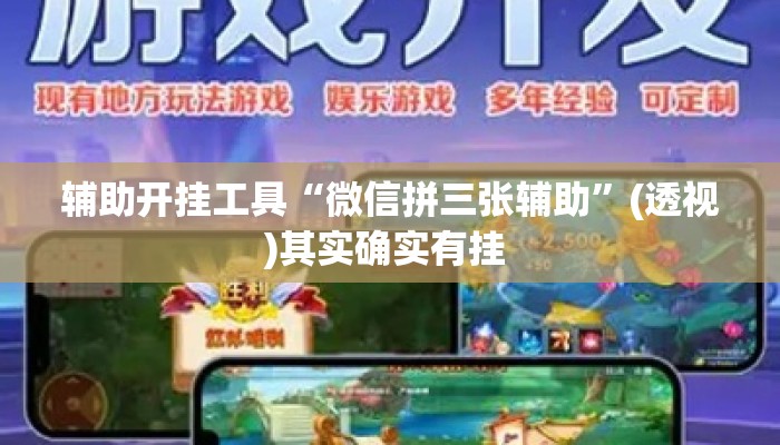 辅助开挂工具“微信拼三张辅助”(透视)其实确实有挂 