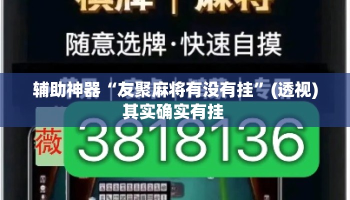 辅助神器“友聚麻将有没有挂”(透视)其实确实有挂 