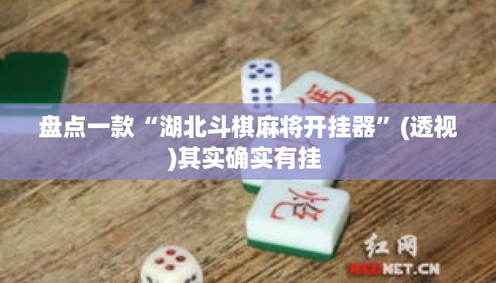 盘点一款“湖北斗棋麻将开挂器	”(透视)其实确实有挂 
