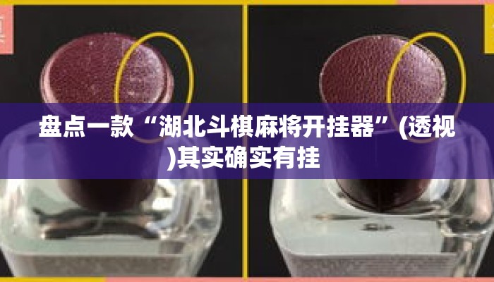 盘点一款“湖北斗棋麻将开挂器”(透视)其实确实有挂 