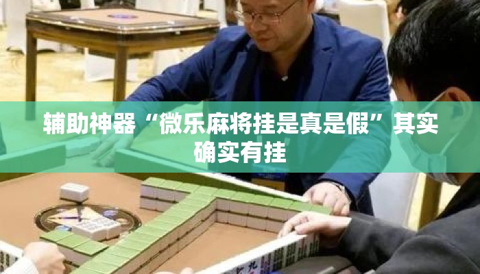 辅助神器“微乐麻将挂是真是假”其实确实有挂