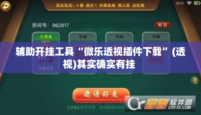 辅助开挂工具“微乐透视插件下载”(透视)其实确实有挂 