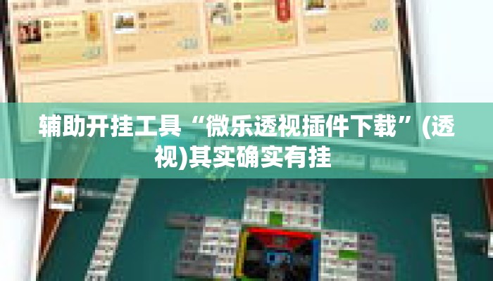辅助开挂工具“微乐透视插件下载”(透视)其实确实有挂 