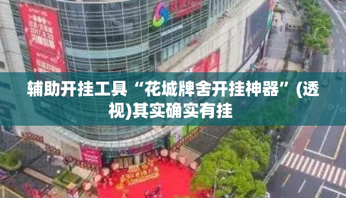 辅助开挂工具“花城牌舍开挂神器	”(透视)其实确实有挂 