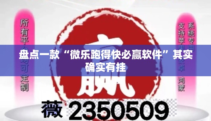 盘点一款“微乐跑得快必赢软件”其实确实有挂