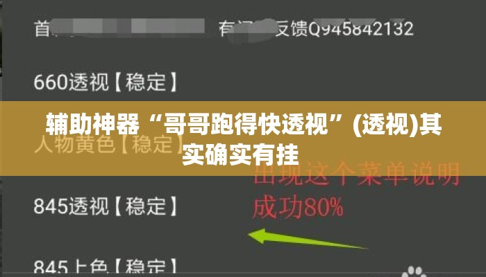 辅助神器“哥哥跑得快透视	”(透视)其实确实有挂 