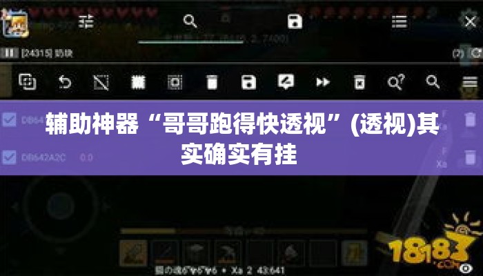 辅助神器“哥哥跑得快透视”(透视)其实确实有挂 