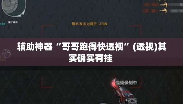 辅助神器“哥哥跑得快透视”(透视)其实确实有挂 