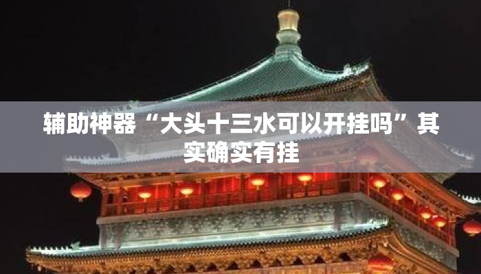 辅助神器“大头十三水可以开挂吗	”其实确实有挂