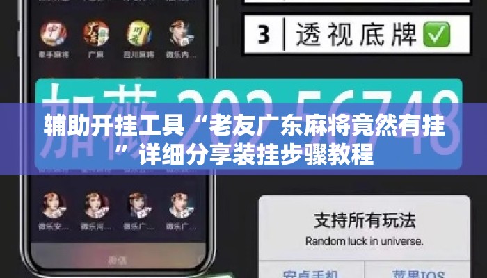 辅助开挂工具“老友广东麻将竟然有挂”详细分享装挂步骤教程