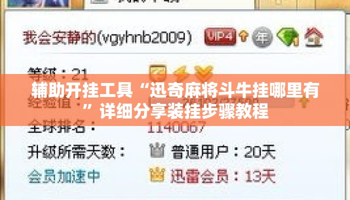 辅助开挂工具“迅奇麻将斗牛挂哪里有”详细分享装挂步骤教程