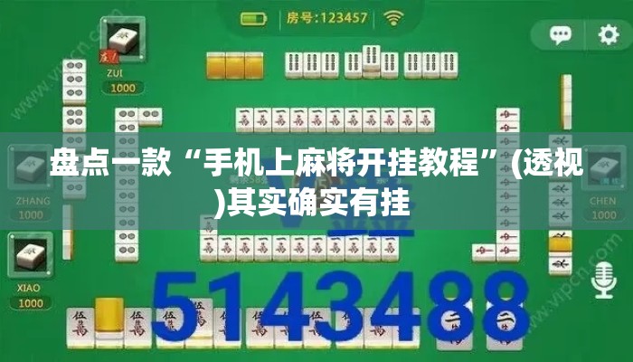 盘点一款“手机上麻将开挂教程”(透视)其实确实有挂 