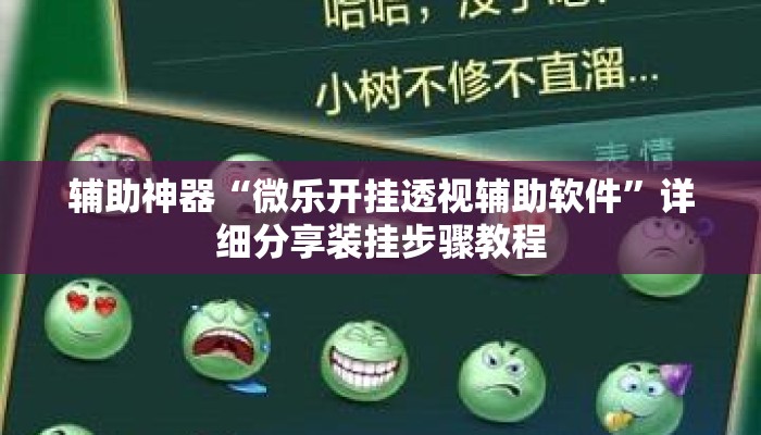 辅助神器“微乐开挂透视辅助软件”详细分享装挂步骤教程
