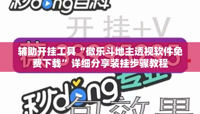 辅助开挂工具“微乐斗地主透视软件免费下载”详细分享装挂步骤教程