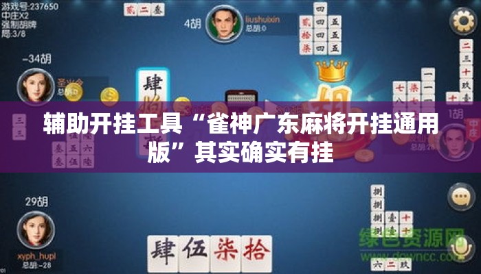 辅助开挂工具“雀神广东麻将开挂通用版”其实确实有挂