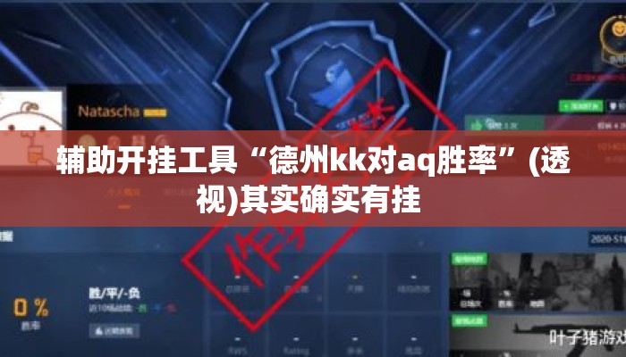 辅助开挂工具“德州kk对aq胜率”(透视)其实确实有挂 