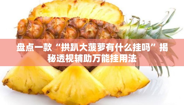 盘点一款“拱趴大菠萝有什么挂吗”揭秘透视辅助万能挂用法